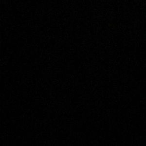 Meet your Posher, Scarlett